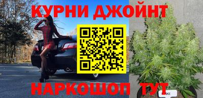 ешки Камышлов