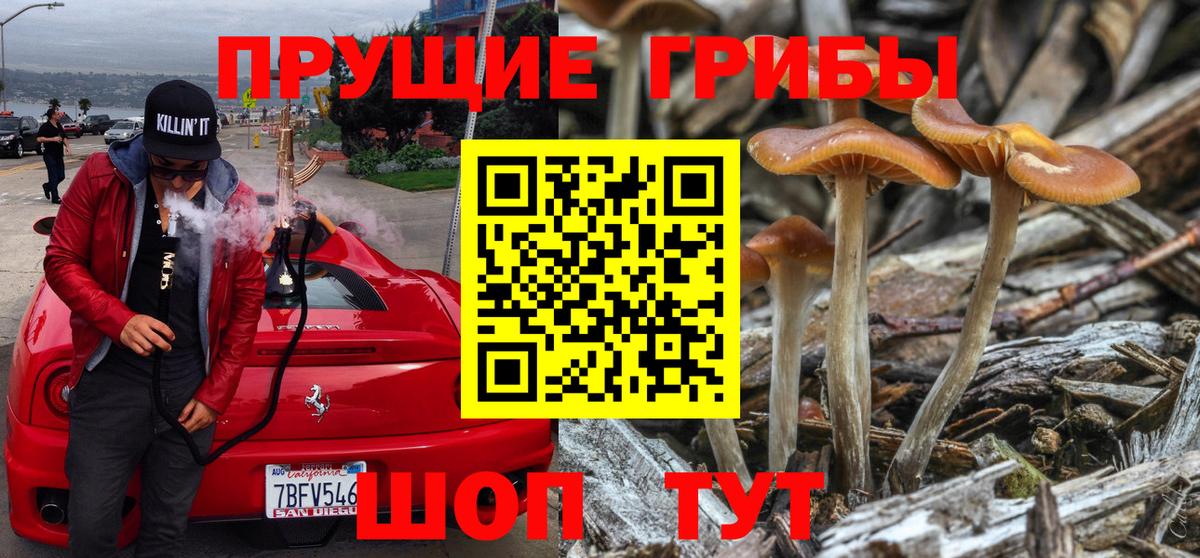 Псилоцибиновые грибы прущие грибы  Псилоцибиновые грибы мухоморы  Кумертау  Вход с VPN 